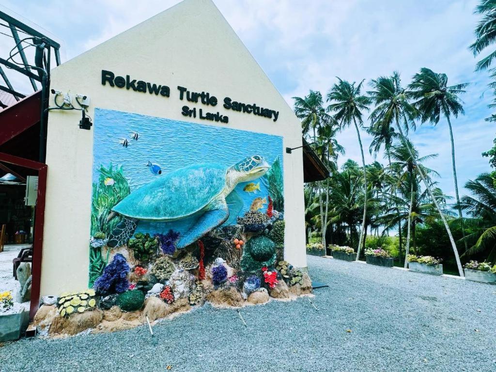 Turtle Paradise 坦加拉 外观 照片